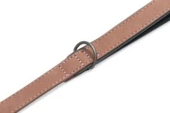 Beeztees BalacronAx - Hondenriem - Kunstleer - Roze - 180x2 Cm 10 Beeztees BalacronAx - Hondenriem - Kunstleer - Roze - 180x2 Cm -Hondenbenodigdheden Webimage 0746387 det3