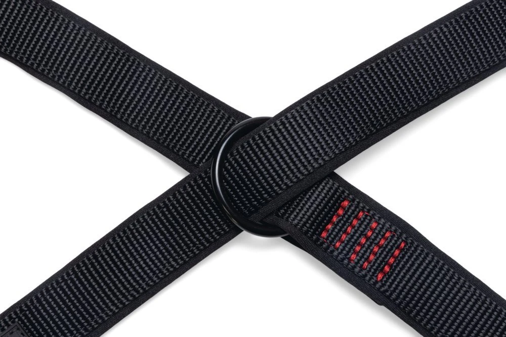 Beeztees Parinca Premium - Hondenriem - Nylon - Zwart - 200 Cm X 20 Mm 7 Beeztees Parinca Premium - Hondenriem - Nylon - Zwart - 200 Cm X 20 Mm - Afbeelding 5