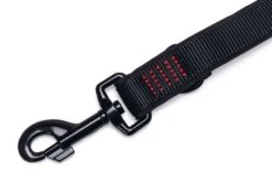 Beeztees Parinca Premium - Hondenriem - Nylon - Zwart - 200 Cm X 20 Mm 14 Beeztees Parinca Premium - Hondenriem - Nylon - Zwart - 200 Cm X 20 Mm -Hondenbenodigdheden Webimage 0747208 det5