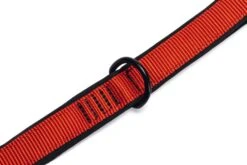 Beeztees Parinca Premium - Hondenriem - Nylon - Rood - 180 Cm X 20 Mm -Hondenbenodigdheden Webimage 0747247 det3
