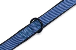 Beeztees Parinca Premium - Hondenriem - Nylon - Blauw - 300 Cm X 20 Mm 13 Beeztees Parinca Premium - Hondenriem - Nylon - Blauw - 300 Cm X 20 Mm -Hondenbenodigdheden Webimage 0747293 det4