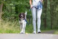 Beeztees Parinca Premium - Hondenriem - Nylon - Blauw - 300 Cm X 20 Mm 14 Beeztees Parinca Premium - Hondenriem - Nylon - Blauw - 300 Cm X 20 Mm -Hondenbenodigdheden Webimage 0747293 sfeer2