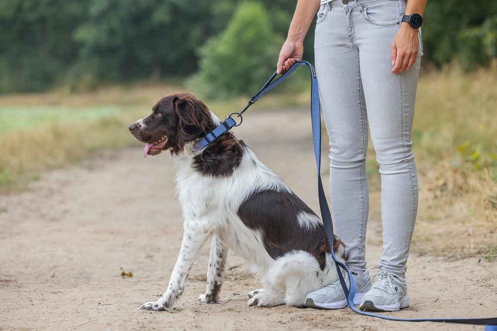 Beeztees Parinca Premium - Hondenriem - Nylon - Blauw - 300 Cm X 20 Mm 9 Beeztees Parinca Premium - Hondenriem - Nylon - Blauw - 300 Cm X 20 Mm - Afbeelding 7