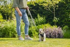 Beeztees Parinca Premium - Hondenriem - Nylon - Lichtgrijs - 120 Cm X 20 Mm -Hondenbenodigdheden Webimage 0747326 sfeer4